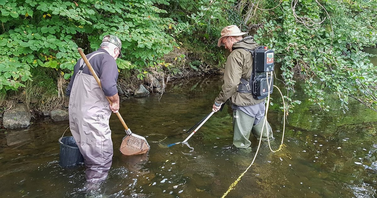 Electro Fishing Compressed