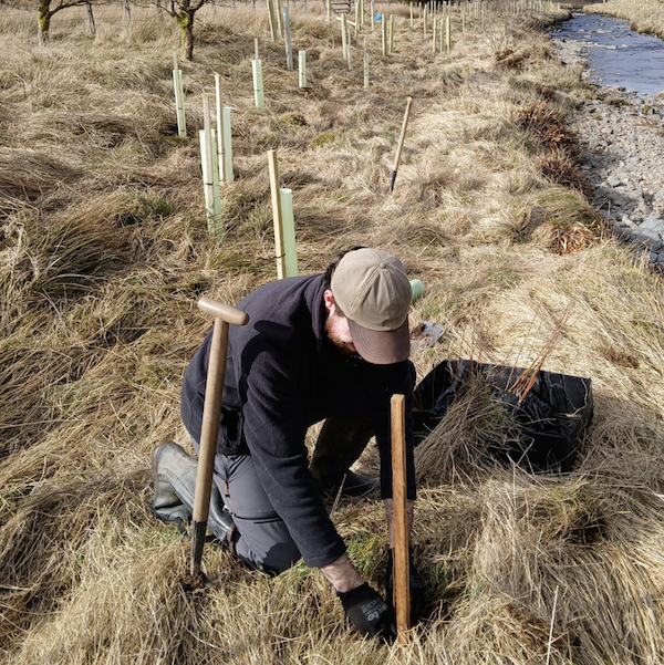tree planting .png