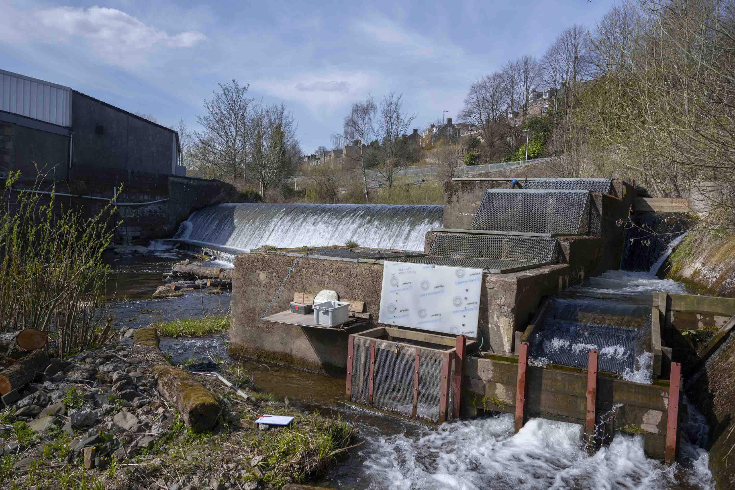 Gala Smolt Trap