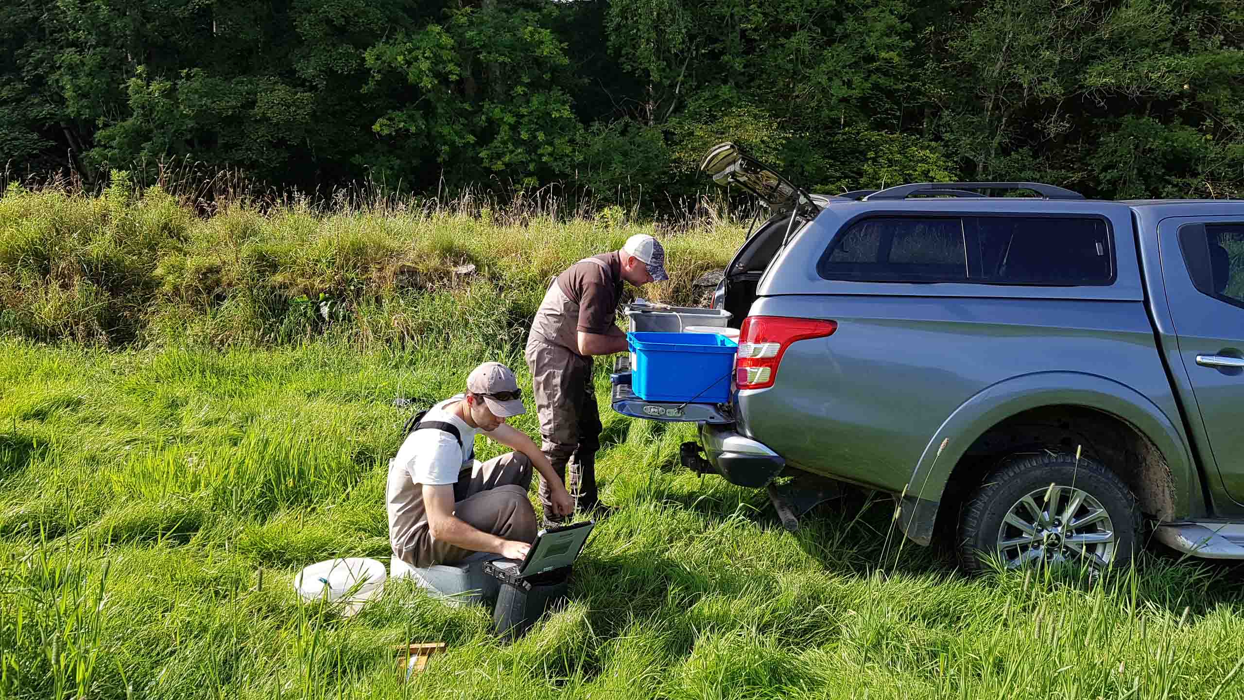 Pit Tagging Smolts (1)