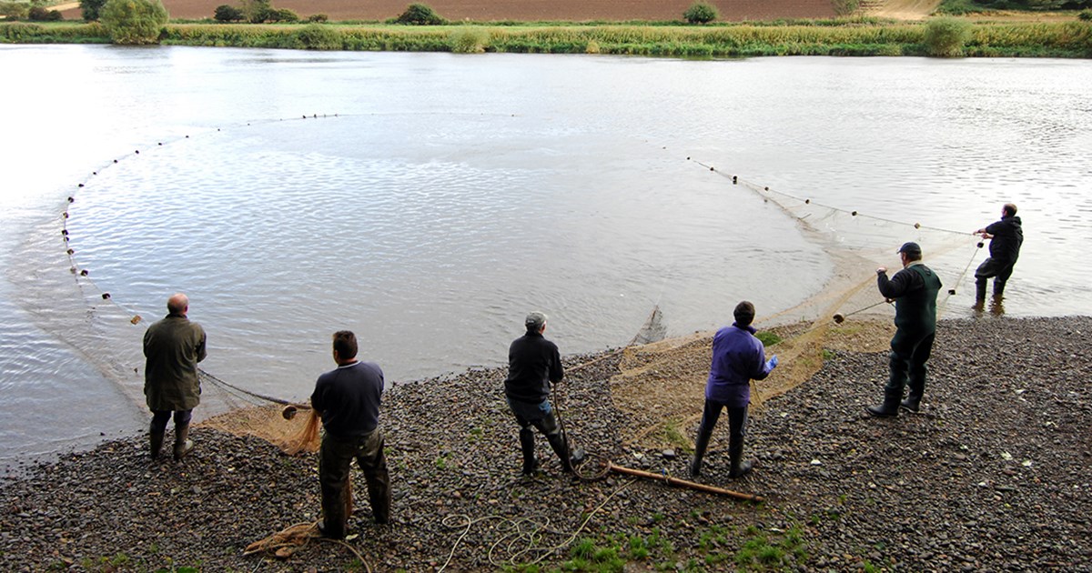 Paxton Net Fishing Web